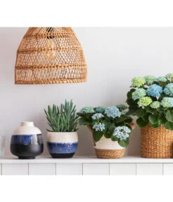 Dehner Seegras-Korb Ida, Rund -Haus Pflanzen Welt 8203994 668948 6689855 WE MO 001 HortensieMagicalTopfMaritim