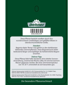 Elatior-Begonie - Begonia Elatior 'Borias®' -Haus Pflanzen Welt 8208209 BegonieBoriasrosa Etikett 2