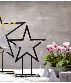 Alpenveilchen, Gefranst -Haus Pflanzen Welt 8217473 WE MO 028 Weihnachtsshooting 2015