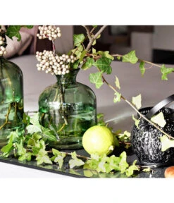 Efeu - Hedera Helix, Grünlaubig 9 Efeu - Hedera Helix, Grünlaubig -Haus Pflanzen Welt 8224255 8224248 MO EfeuGruenPixabay