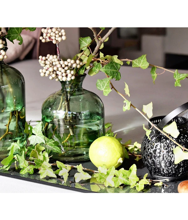 Efeu - Hedera Helix, Grünlaubig 6 Efeu - Hedera Helix, Grünlaubig – Bild 4