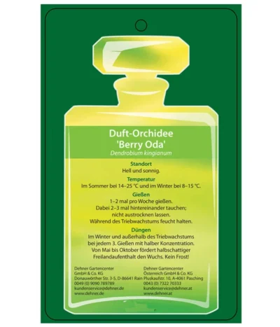Duft-Traubenorchidee - Dendrobium Kingianum 'Berry' -Haus Pflanzen Welt 8250714 DuftorchideeBeryyOdaEtikett2