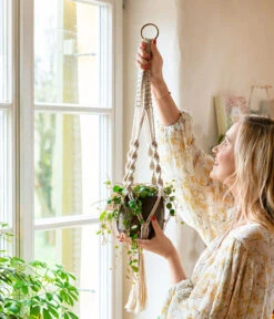 Dehner Makramee-Ampel -Haus Pflanzen Welt 8252173 WE MO 001 PeperomiePepperspotMakrameeAmpel 1