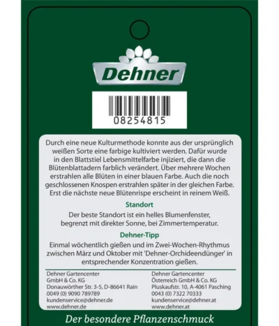 Schmetterlingsorchidee - Phalaenopsis Cultivars 'Blue Wonder', Kaskade 8 Schmetterlingsorchidee - Phalaenopsis Cultivars 'Blue Wonder', Kaskade -Haus Pflanzen Welt 8254815 PhalaenopsisBlueWonder Etikett 2