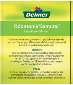 Odontonia-Orchidee - Odontonia Hybriden 'Samurai' -Haus Pflanzen Welt 8256158 OdontoniaSamuraiEtikett2