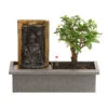 Bonsai, Mit Brunnen -Haus Pflanzen Welt 8257263 WE FS 001 BonsaiBrunnenwandDehnerExpressHerzig