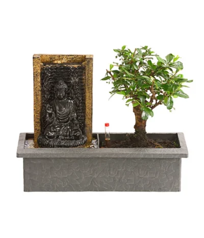 Bonsai, Mit Brunnen
