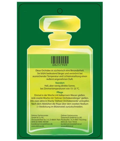 Duft-Orchidee - Phalaenopsis-Hybride 'Flacon Solaire' -Haus Pflanzen Welt 8257909 Etikett2 PhalaenopsisFlaconSolaire 02072018