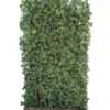 Hecke Am Laufenden Meter® 'Woerneri' - Efeu, Ca. 200 Cm 1 Hecke Am Laufenden Meter® 'Woerneri' - Efeu, Ca. 200 Cm -Haus Pflanzen Welt 8295198 WE FS 001 HederaWoerneriHelixHeckeAmLaufendenMeterEfeu