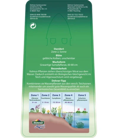 Dehner Kalmus -Haus Pflanzen Welt 8310104 KalmusAcorusCalamus Etikett 2