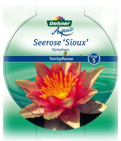 Dehner Seerose 'Sioux' -Haus Pflanzen Welt 8315947 Seerose Sioux Etikett 1 NEU