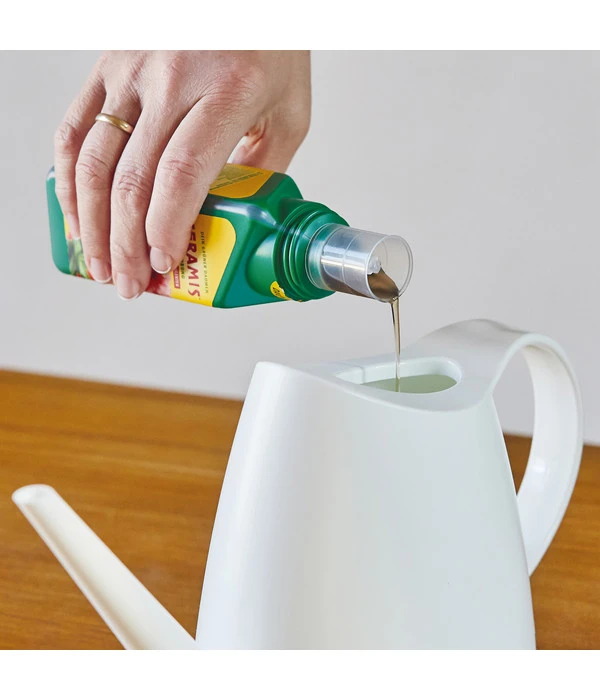 Seramis Vitalnahrung Für Kakteen & Sukkulenten, 200 Ml 5 Seramis Vitalnahrung Für Kakteen & Sukkulenten, 200 Ml – Bild 3