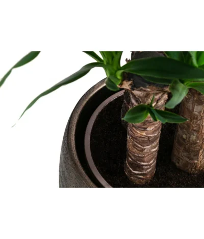 Yucca-Palme - Yucca Elephantipes, In Keramik 9 Yucca-Palme - Yucca Elephantipes, In Keramik -Haus Pflanzen Welt 8478745 WE DE 002 Yucca3erT21inKeramikMatheaGold