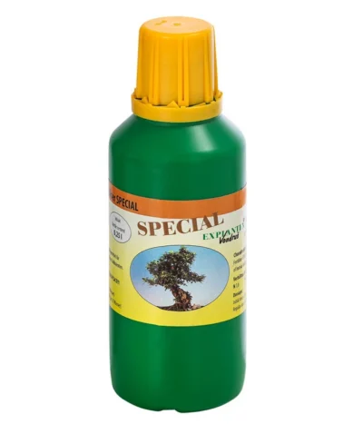 Bonsai Chinesischer Feigenbaum - Ficus Retusa, Anfänger-Set, 10 Jahre -Haus Pflanzen Welt 8561573 WE FS 003 DuengerSetBonsai