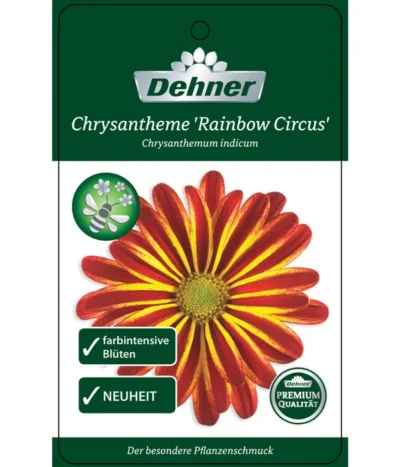 Chrysantheme 'Cirus' -Haus Pflanzen Welt 8582678 ChrysanthemeRainbowCircus Etikett 1