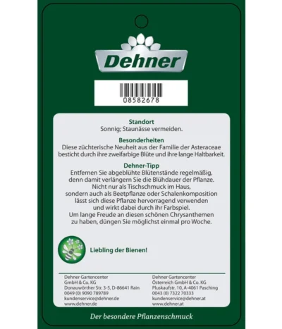 Chrysantheme 'Cirus' -Haus Pflanzen Welt 8582678 ChrysanthemeRainbowCircus Etikett 2