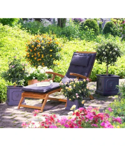 Wandelröschen, Solitärstamm -Haus Pflanzen Welt 8588196 8595910 8589442 8588451 PR MO 004 LeichtbetonTopfEckigKuebelpflanzenBlumenparkKatalog2016