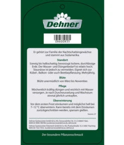 Blauer Enzianstrauch -Haus Pflanzen Welt 8600835 BlauerEnzianstrauch Etikett 2