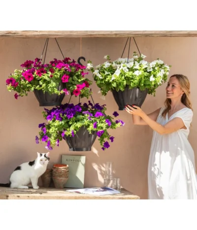 Hängepetunie, Ampel, Verschiedene Sorten, Weiß/pink -Haus Pflanzen Welt 8605164 WE MO 001 HaengepetunieAmpelT35BestofAmpeln