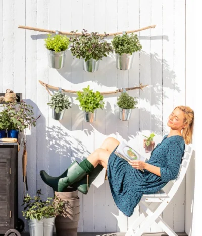 Dehner Gourmet Garten Strauchbasilikum 'Magic Blue' -Haus Pflanzen Welt 8610123 WE MO 001 Oregano Kraeuter 1