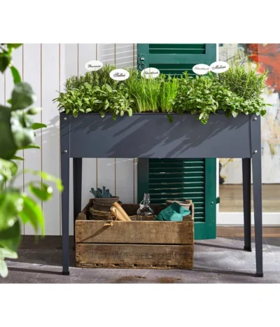 Bio Oregano 8 Bio Oregano -Haus Pflanzen Welt 8610206 8609984 8610099 8609935 8610123 8610271 WE MO 002 RosmarinItalienKraeuter SalbeiMelisseMinzeMajoranOreganum