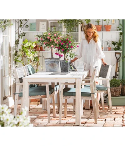 Fuchsie, Verschiedene Sorten -Haus Pflanzen Welt 8649733 WE MO 001 FuchsieStaemmchen