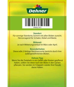 Narzisse 'Jetfire', Schale 9 Narzisse 'Jetfire', Schale -Haus Pflanzen Welt 8662363 Narcissus Jetfire Schale 2016 2