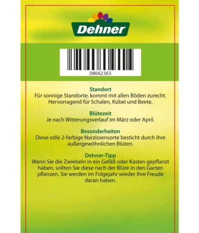 Narzisse 'Jetfire', Schale 9 Narzisse 'Jetfire', Schale -Haus Pflanzen Welt 8662363 Narcissus Jetfire Schale 2016 2