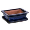 Dehner Keramik-Bonsaischale, Rechteckig, Ca. B18/H6/T14 Cm -Haus Pflanzen Welt 8732034 WE FS 001 SchalensortimentBonsai BlauRechteckigGr 3