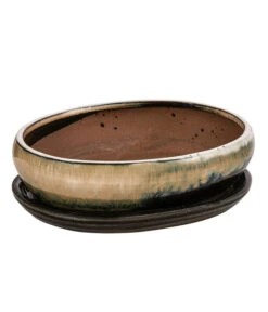 Dehner Keramik-Bonsaischale, Oval, Creme/dunkelbraun, Ca. B21/H6/T16,5 Cm