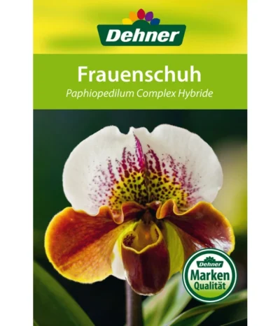 Frauenschuh - Paphiopedilum Hybride, Verschiedene Sorten 24 Frauenschuh - Paphiopedilum Hybride, Verschiedene Sorten -Haus Pflanzen Welt 8756744 Paphiopedilum Frauenschuh Etikett1