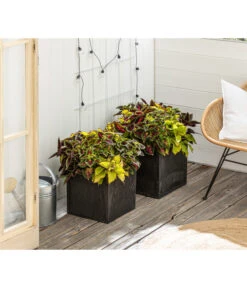 Beet- & Balkonpflanzen-Set Farbexplosion, 6-teilig -Haus Pflanzen Welt 8800567 PR MO 001 Beet Balkon SetBuntnessel