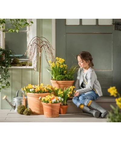 Hornveilchen-Trio, Weiß/gelb/orange -Haus Pflanzen Welt 8808321 WE MO 01 ViolaCornutaTrioT13Hornveilchen