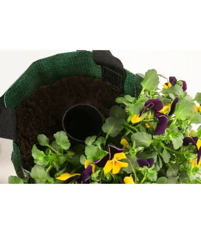 Wandhänger Mit Hornveilchen, Verschiedene Sorten -Haus Pflanzen Welt 8809048 WE DE 003 ViolaWandhaenger