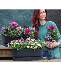 Elho Kunststoff-Topf Greenville, Ca. B20/B18/T49 Cm -Haus Pflanzen Welt 8809857 WE MO 001 FruehlingRosa