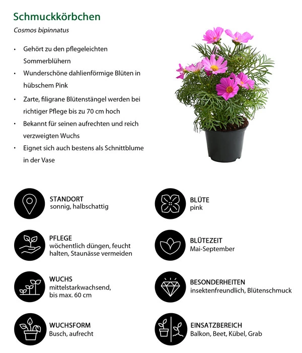 Schmuckkörbchen, Verschiedene Farben 9 Schmuckkörbchen, Verschiedene Farben – Bild 7