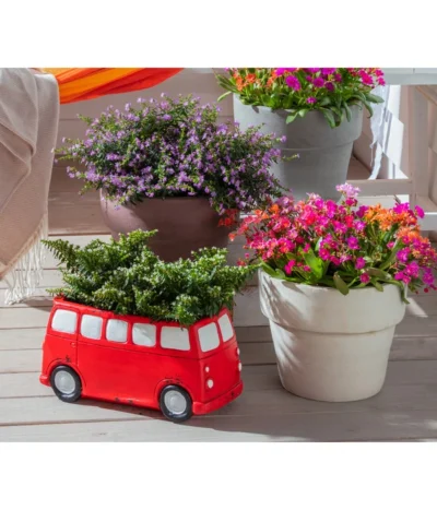 Köcherblümchen, Verschiedene Farben -Haus Pflanzen Welt 8811366 WE MO 002 CupheaHyssopifoliaKoecherbluemchen 1