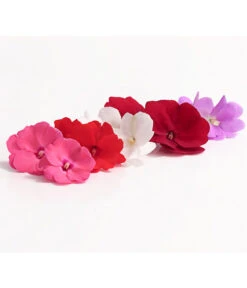 Edellieschen, Verschiedene Farben -Haus Pflanzen Welt 8814634 WE DE 001 EdellieschenImpatiensNeuguineaT12MixDehnerExpressHerzig