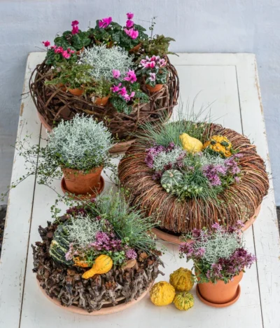 Dehner Kranz Bold, Ca. Ø38 Cm -Haus Pflanzen Welt 8815763 6273635 WE MO 001 MuecaKrazWeinrebeFrost 1