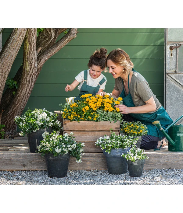 Zauberschnee 'Diamond Frost' Im Pottburri®-Topf – Bild 2