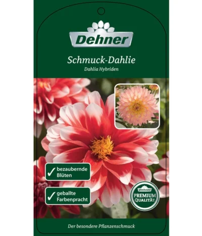 Dehner Premium Dahlie -Haus Pflanzen Welt 8822462 Schmuck Dahlie Etikett 1