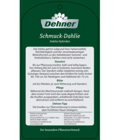 Dehner Premium Dahlie 19 Dehner Premium Dahlie -Haus Pflanzen Welt 8822462 Schmuck Dahlie Etikett 2