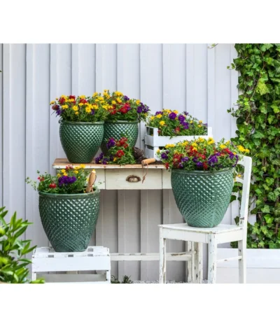 Pflanzenmix Trio Mio -Haus Pflanzen Welt 8827016 WE MO 001 SommermixSommertrioTrioMioVerbenenBidens