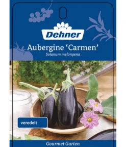 Dehner Gourmet Garten Aubergine, Veredelt -Haus Pflanzen Welt 8830051 GGAubergineCarmen Etikett 1