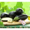 Dehner Gourmet Garten Aubergine, Veredelt 1 Dehner Gourmet Garten Aubergine, Veredelt -Haus Pflanzen Welt 8830051 PR MO 001 GG AUBERGINE CARMEN