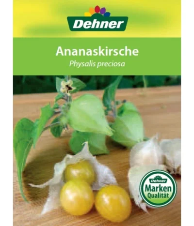 Dehner Ananaskirsche Physalis 14 Dehner Ananaskirsche Physalis -Haus Pflanzen Welt 8830069 Ananaskirsche Etikett 1