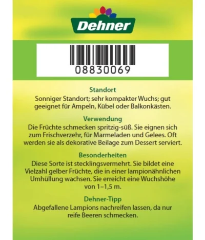 Dehner Ananaskirsche Physalis 15 Dehner Ananaskirsche Physalis -Haus Pflanzen Welt 8830069 Ananaskirsche Etikett 2