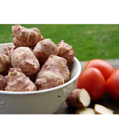 Topinambur -Haus Pflanzen Welt 8830184 PR MO 001 TopinamburPixabay