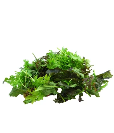 Bio Asia Wildkräuter Im Pottburri®-Topf 9 Bio Asia Wildkräuter Im Pottburri®-Topf -Haus Pflanzen Welt 8830473 WE DE 002 BioPBAsiaWildkraeuter