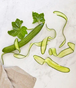 Bioland Gurke, Veredelt 11 Bioland Gurke, Veredelt -Haus Pflanzen Welt 8830853 WE MO 001 SchlangengurkeveredeltRenner